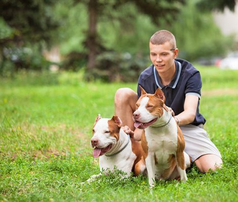 joyful-man-sitting-on-grass-with-dogs-546DYTN-1-ot5g5safplk9w1dlfxrn65rwprjnfwlkps7k4onxgg